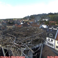 15_20-nest.jpg