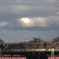 15_25-mast.jpg