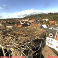 15_25-nest.jpg