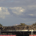 15_30-mast.jpg