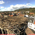 15_30-nest.jpg