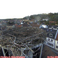 15_40-nest.jpg