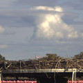 15_50-mast.jpg