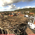 16_05-nest.jpg