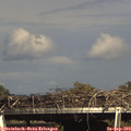 16_10-mast.jpg