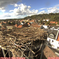 16_10-nest.jpg