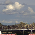 16_15-mast.jpg