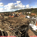 16_15-nest.jpg