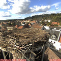 16_20-nest.jpg