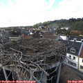 16_25-nest.jpg