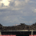 16_30-mast.jpg