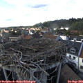 16_30-nest.jpg