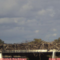16_35-mast.jpg