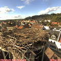 16_45-nest.jpg