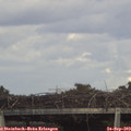16_55-mast.jpg