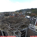 16_55-nest.jpg