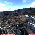 17_05-nest.jpg