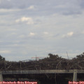17_10-mast.jpg