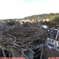 17_10-nest.jpg