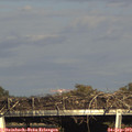 17_15-mast.jpg