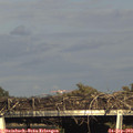 17_20-mast.jpg