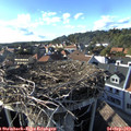 17_20-nest.jpg