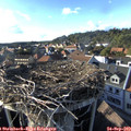 17_35-nest.jpg
