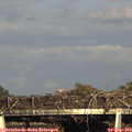 17_40-mast.jpg