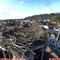 17_40-nest.jpg