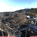 17_55-nest.jpg