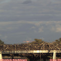 18_00-mast.jpg