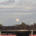 18_05-mast.jpg