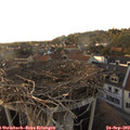 18_05-nest.jpg