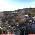 18_10-nest.jpg