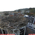 18_15-nest.jpg