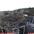 18_20-nest.jpg