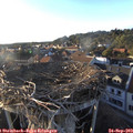 18_25-nest.jpg