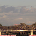 18_30-mast.jpg