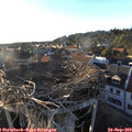 18_30-nest.jpg