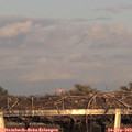 18_35-mast.jpg