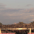 18_40-mast.jpg