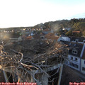 18_50-nest.jpg