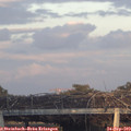 18_55-mast.jpg