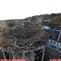 18_55-nest.jpg