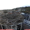 19_00-nest.jpg