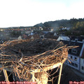 07_25-nest.jpg