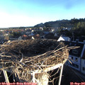 07_45-nest.jpg