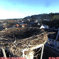 07_50-nest.jpg