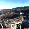 07_55-nest.jpg