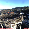 08_00-nest.jpg